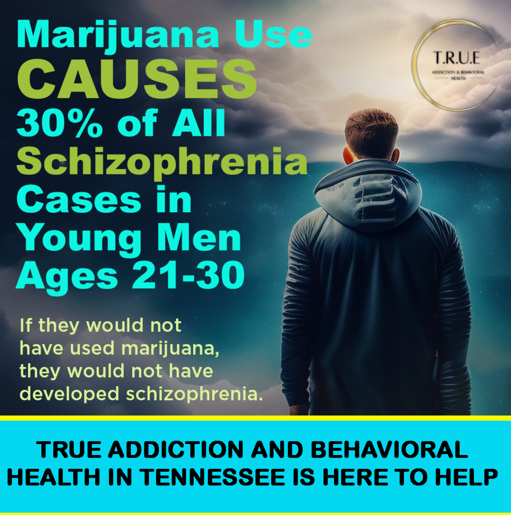 Marijuana Psychosis Leads to Schizophrenia