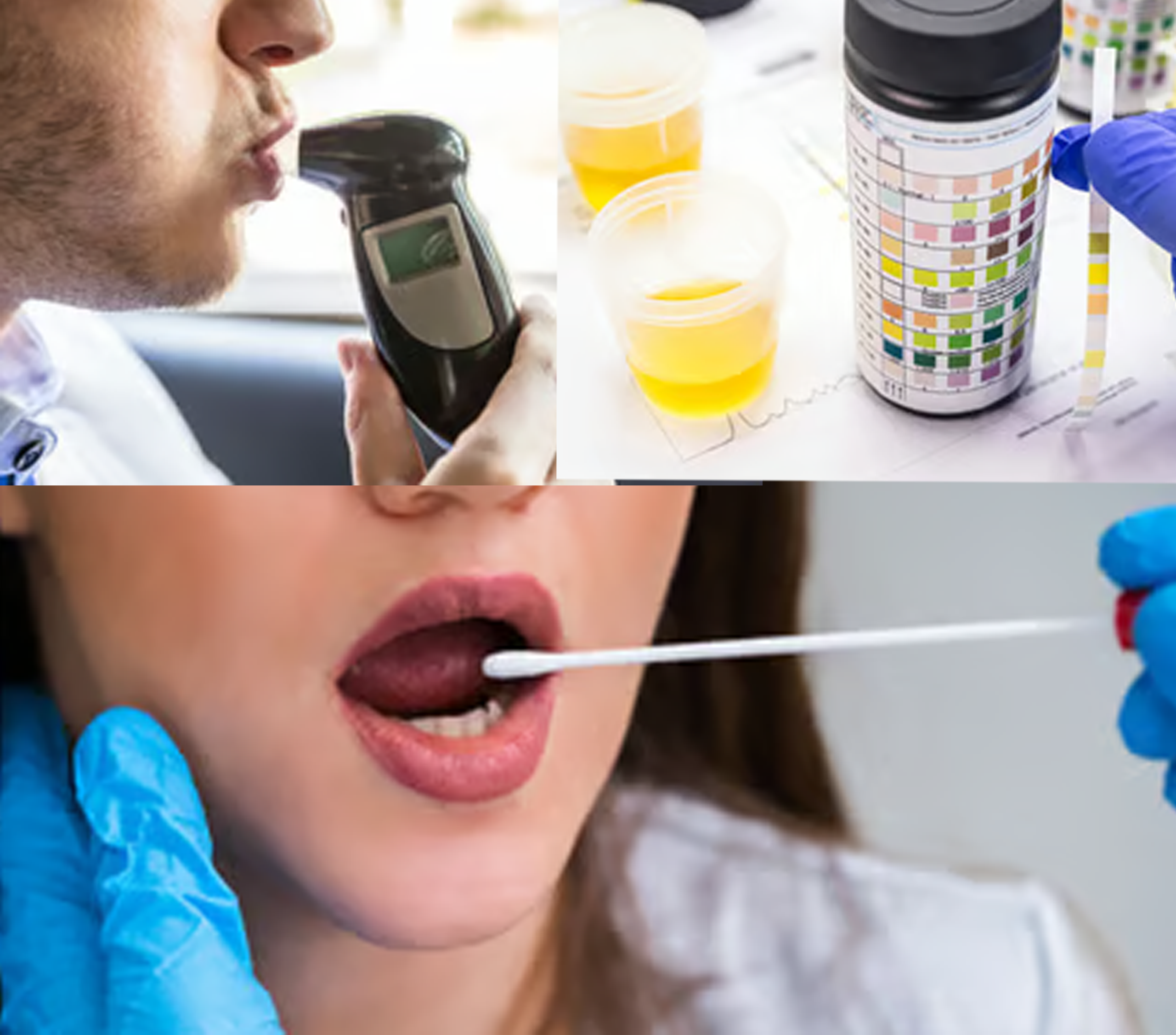 Drug Testing Methods. Addicts and Alcoholics in Tennessee.  TRUE.
