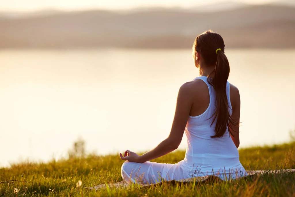 Mental health resources for emotional regulation and stress management